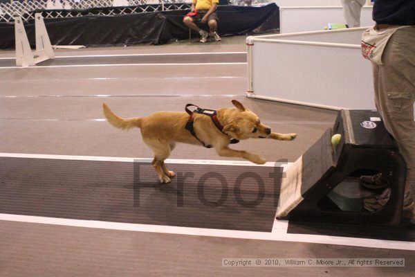 IMG_9478.jpg - Dawg Derby Flyball TournementJuly 11, 2010Classic CenterAthens, Ga