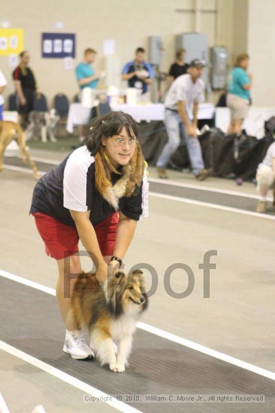 IMG_9491.jpg - Dawg Derby Flyball TournementJuly 11, 2010Classic CenterAthens, Ga