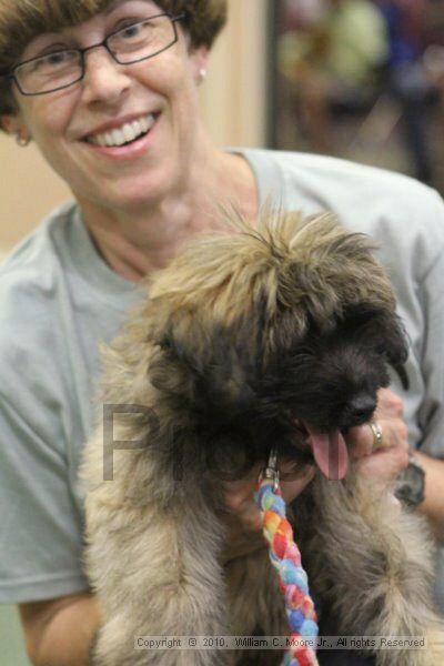 IMG_9191.jpg - Dawg Derby Flyball TournementJuly 11, 2010Classic CenterAthens, Ga