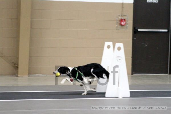 IMG_9183.jpg