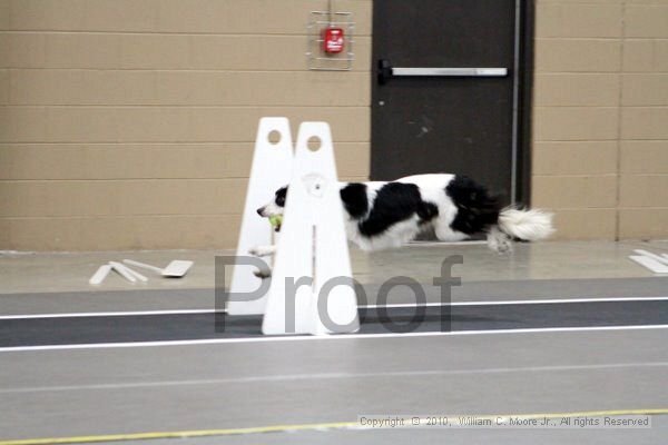 IMG_9205.jpg