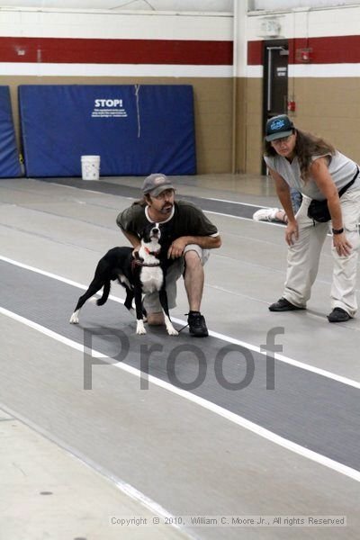 IMG_9219.jpg