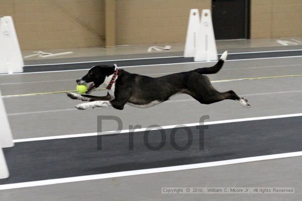 IMG_9236.jpg