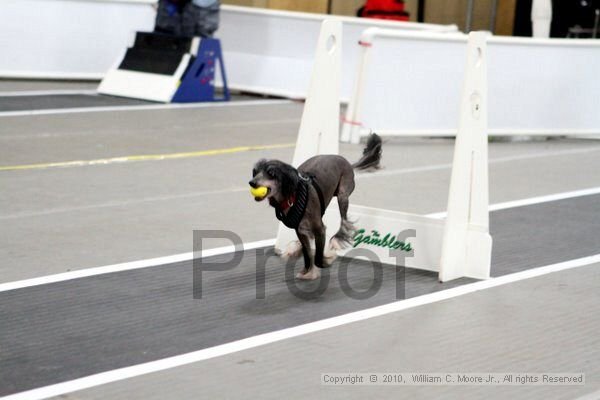 IMG_0038.jpg