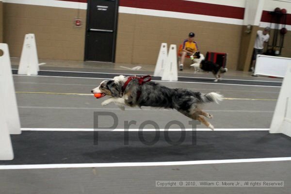 IMG_0852.jpg