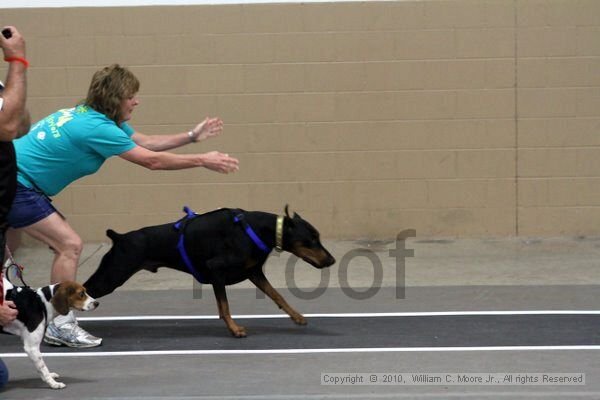 IMG_1137.jpg
