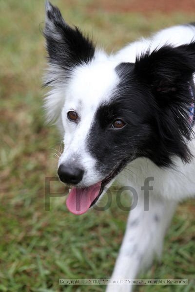 IMG_1347.jpg