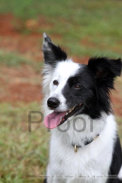 IMG_1351.jpg