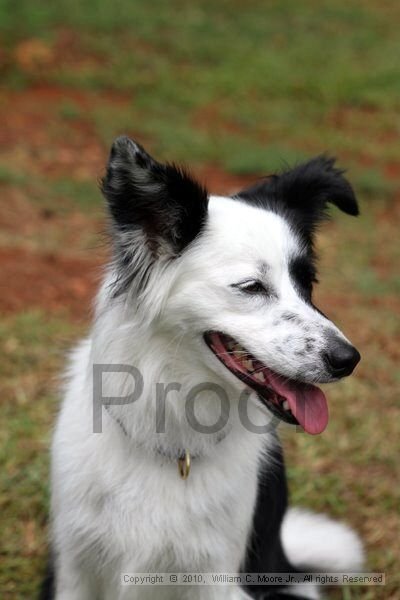IMG_1353.jpg