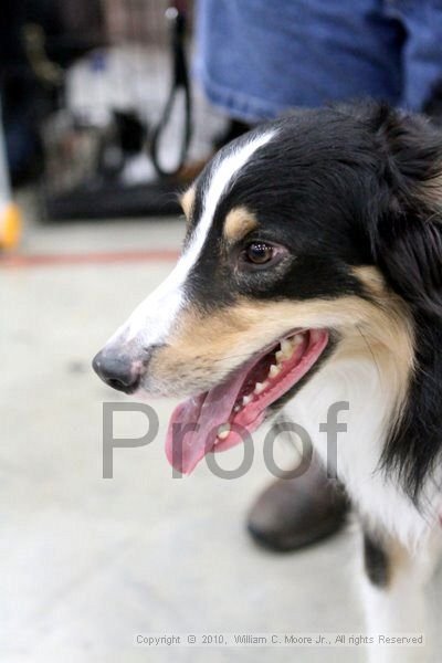IMG_9842.jpg
