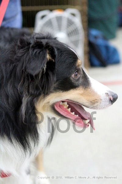 IMG_9847.jpg