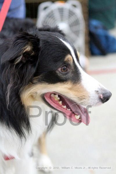IMG_9848.jpg