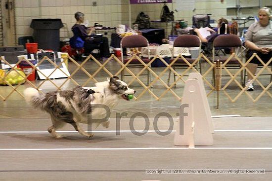 Birmingham Bandits Summer Shootout<br />June 27, 2010<br />Bessemer Civic Center<br />Bessemer Al