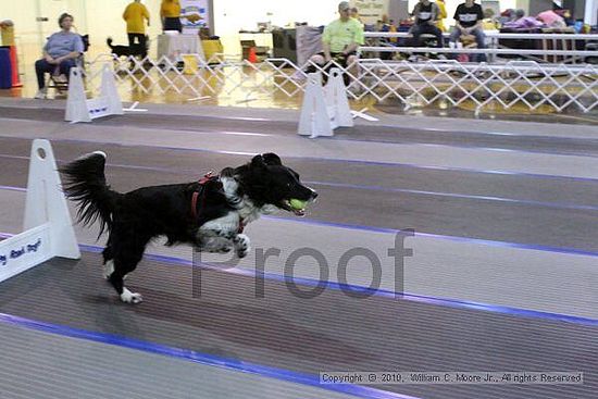MCRD Unplugged Flyball Tournement<br />March 20th, 2010