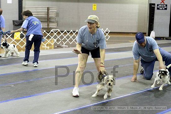 MCRD Unplugged Flyball Tournement<br />March 20th, 2010