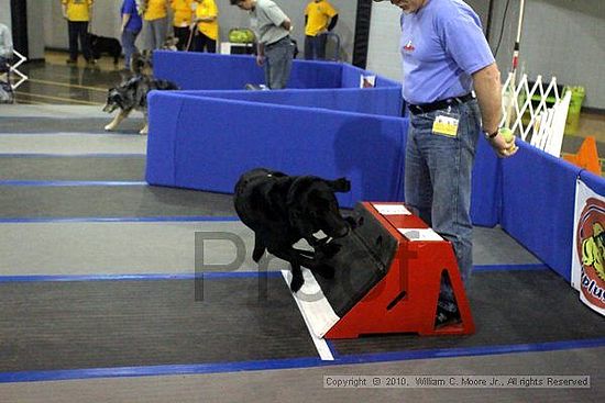 MCRD Unplugged Flyball Tournement<br />March 21st, 2010