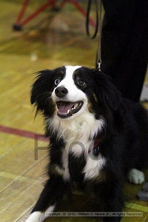 MCRD Unplugged Flyball Tournement<br />March 20th, 2010