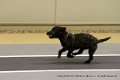 IMG_4689