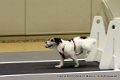 IMG_4750