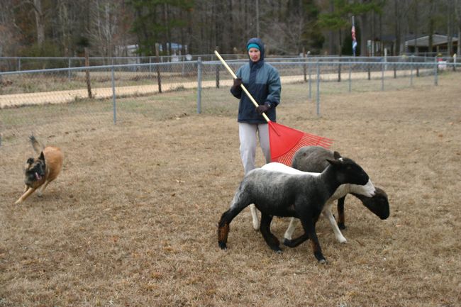 Click to see next picture